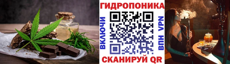 Купить закладки  Приозерск  Canna-Cookies конопля 