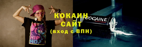 МДПВ Богородск