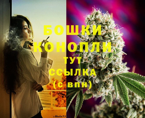 ECSTASY Богородицк