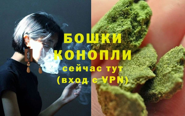 ECSTASY Богородицк