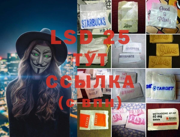 ECSTASY Богородицк